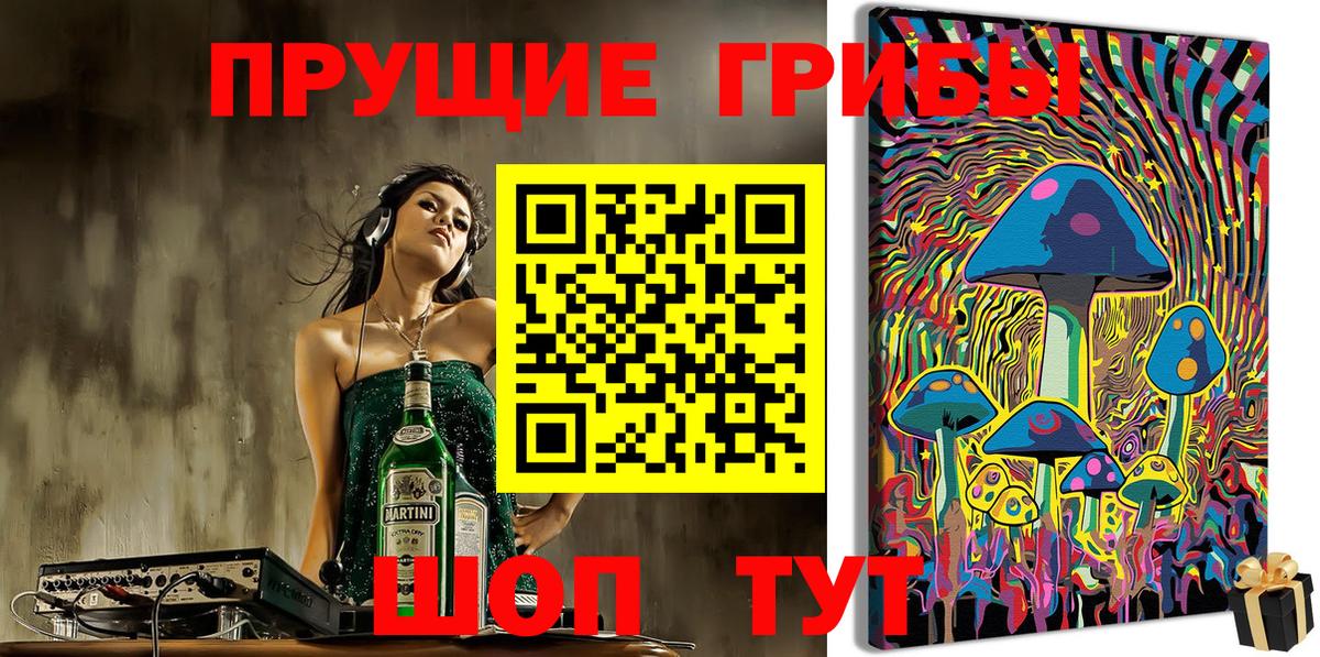 Ишим  Галлюциногенные грибы Psilocybe  купить наркотики цена  Вход с VPN 